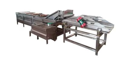 醬菜浸泡脫鹽清洗機(jī)